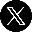 X icon